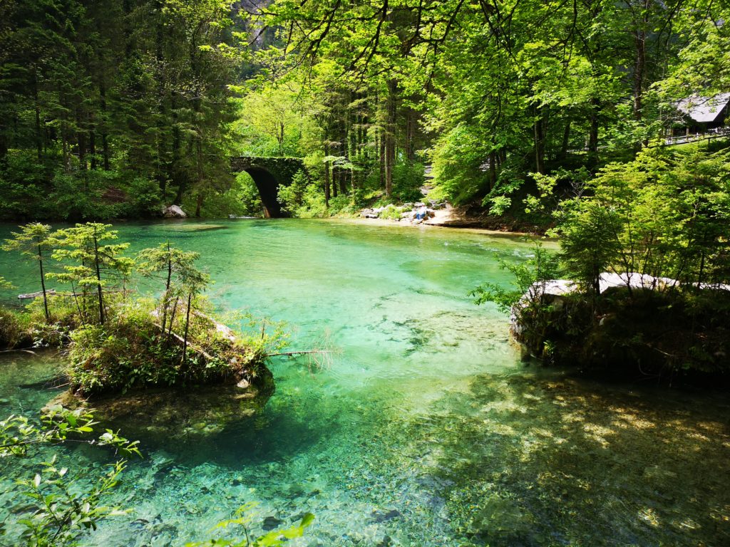 La sorgente smeraldina della Kamniska Bistrica e il suo canyon